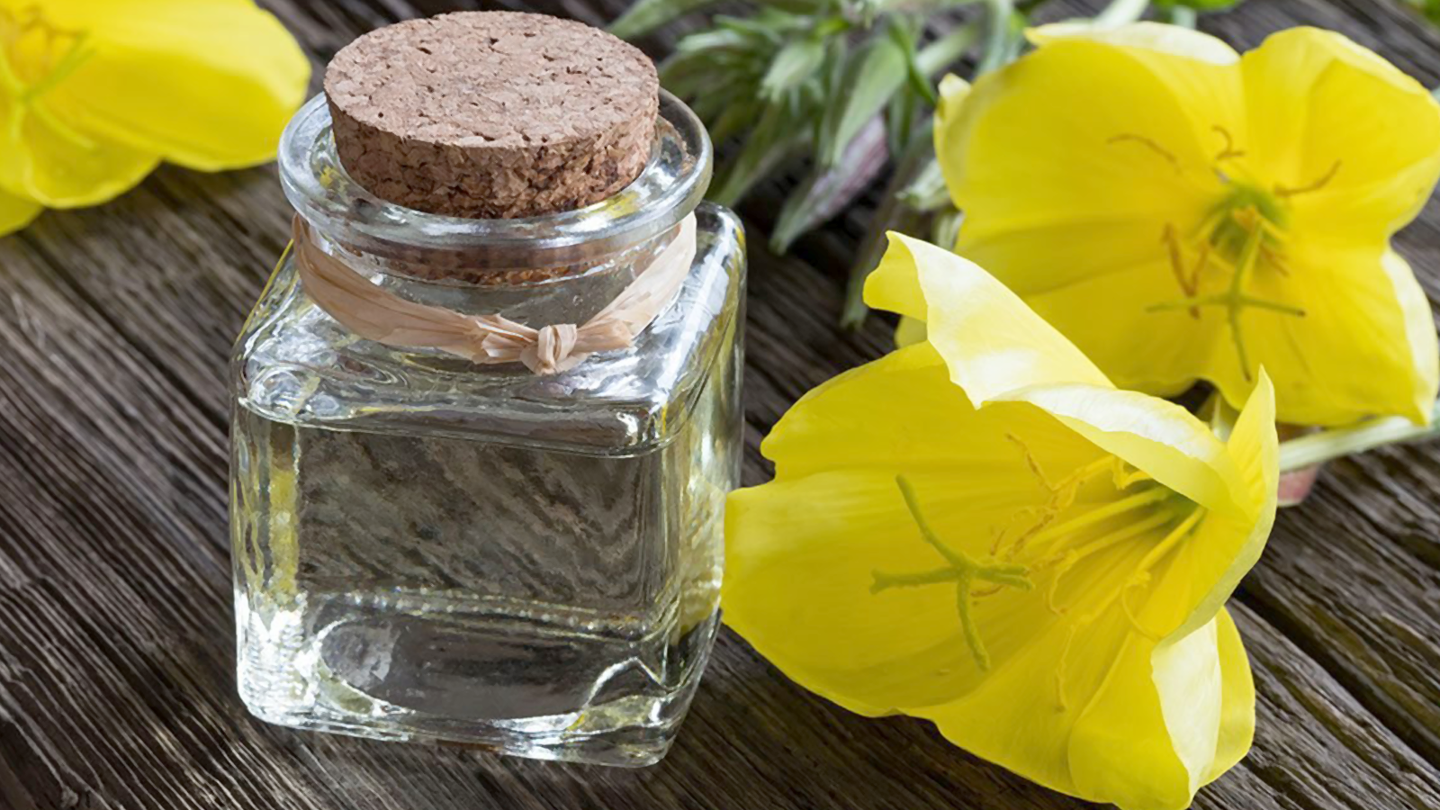 Skincare Ingredient Essential: Wild Evening Primrose