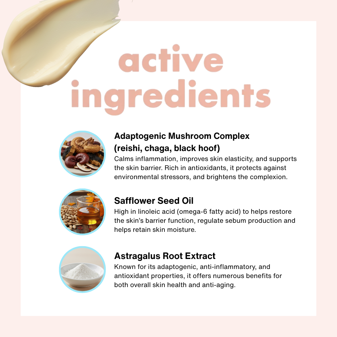 Firm & Lift Regeneration Cream with Triple Mushroom Complex: Reishi + Chaga + Sang Hwang